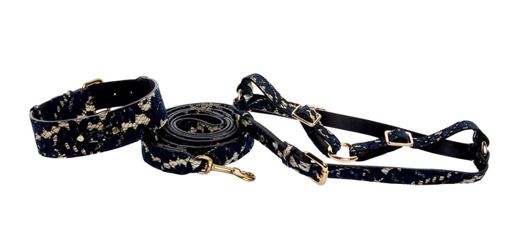 Dark Navy Lace On Gold Italian Leather Classic Collar, Leash &amp; Harness Set