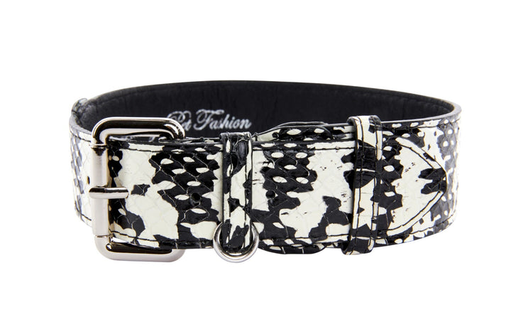 Black &amp; White Snake/Classic Collar With Silver Hardware