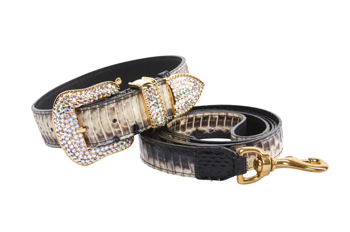 Off White/Black Snake With Gold Swarovski Crystal Hardware Collar &amp; Leash Set