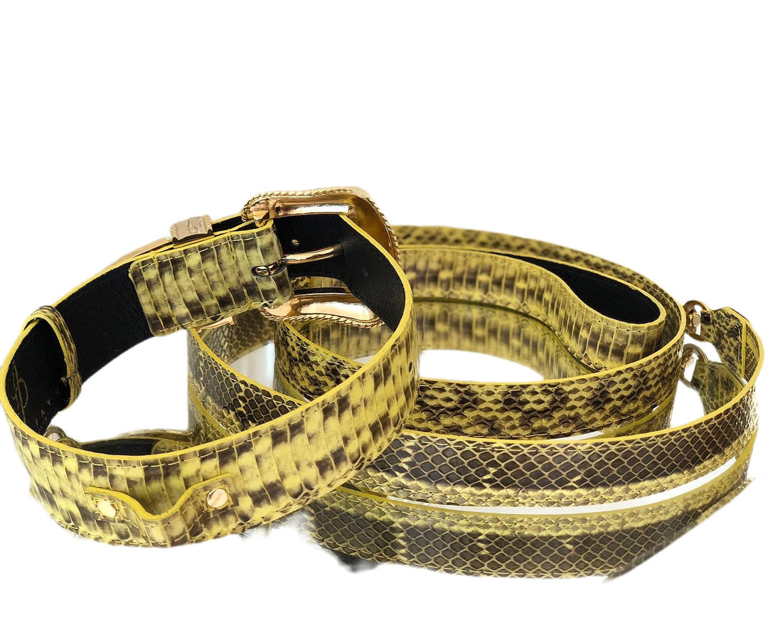 Luxury Pet Fashion Soft Yellow &amp; Black Snakeskin Collar &amp; Leash Set With Our Swarovski Crystal Hardware.