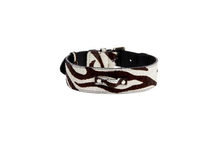 Distressed Brown &amp; White Zebra Print Hair On Hide Classic Collar with Silver Classic Hardware