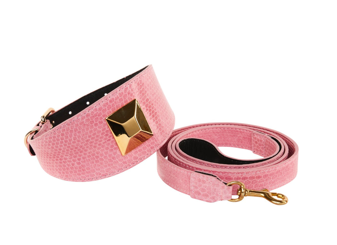 Soft Pink Snake 3” Wide Style Collar With Custom Large Gold Rivet &amp; Leash Set