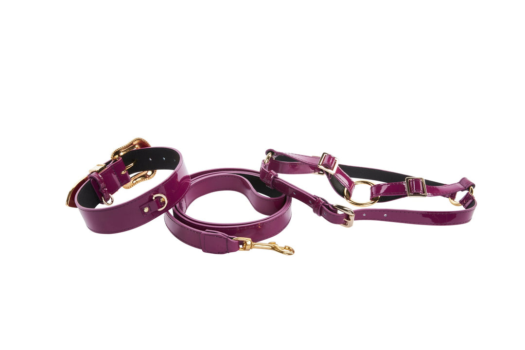 Purple Patent Italian Leather/Swarovski Crystal Hardware Collar, Leash &amp; Harness Set
