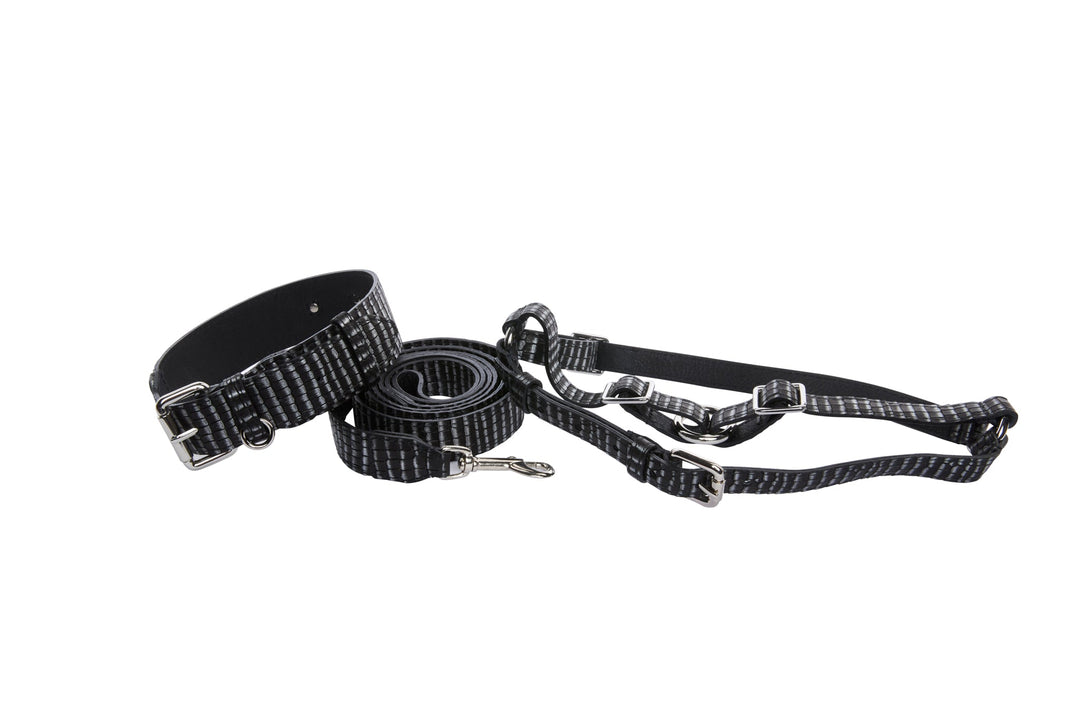 Black &amp; Silver Striped Italian Leather Classic Collar, Leash &amp; Harness Set With Silver Hardware