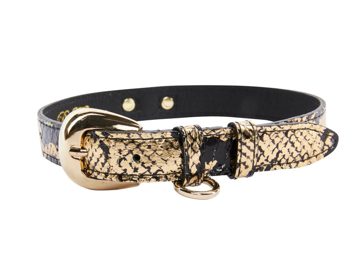 Gold &amp; Black Snake Collar With Oval Gold Hardware