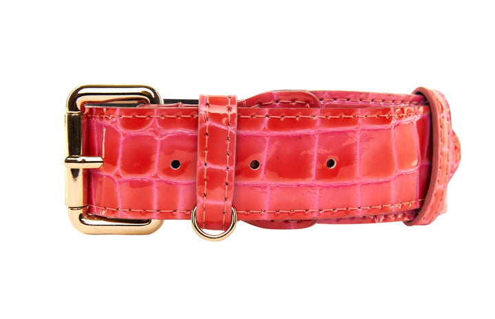 Orange &amp; Pink Patent Leather Classic Collar