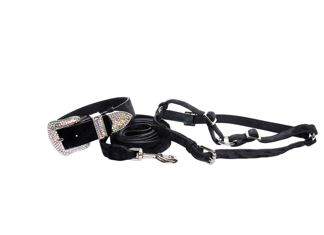 Black &amp; Dark Navy Blue Glamorous, Classic Italian Leather With Silver Swarovski Hardware Collar, Leash, Harness, Set