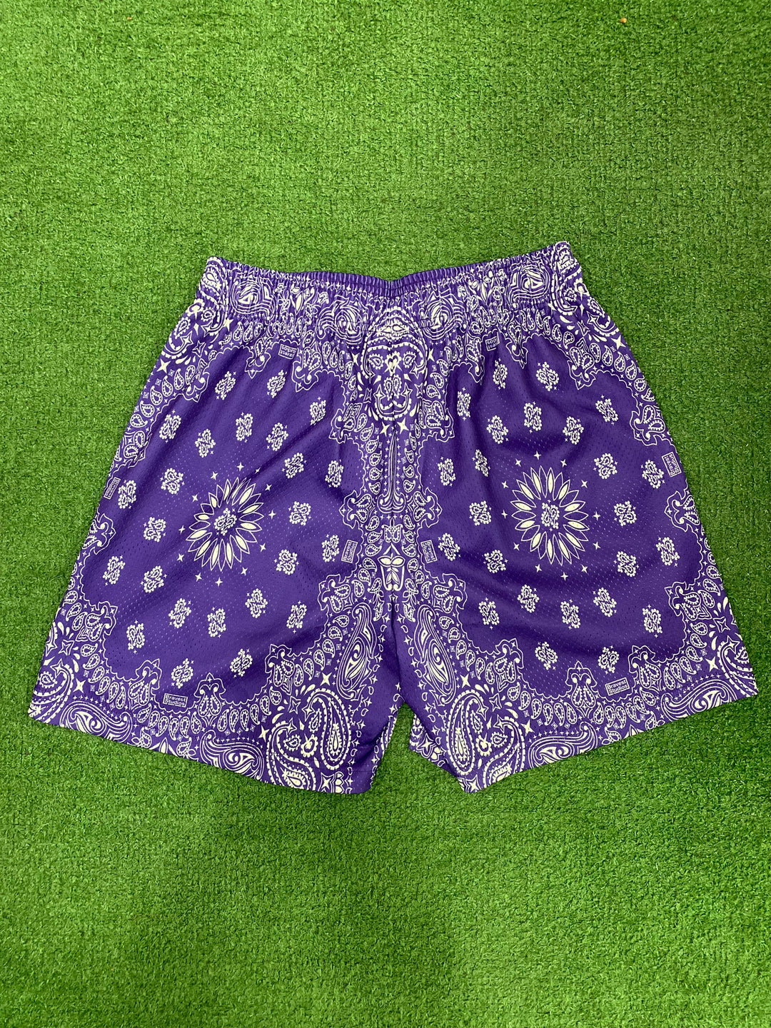 Bravest Studios Purple Paisley Shorts