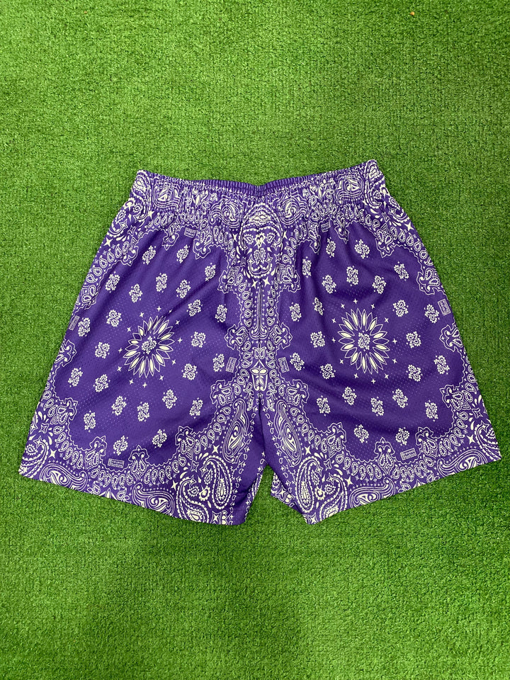 Bravest Studios Purple Paisley Shorts