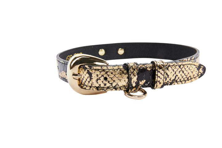 Gold &amp; Black Snake Collar With Oval Gold Hardware