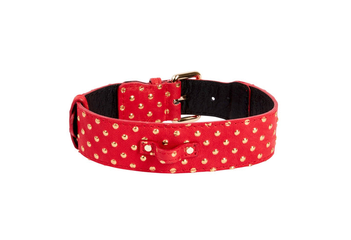 Red &amp; Gold Polka Dot Italian Leather Classic Collar