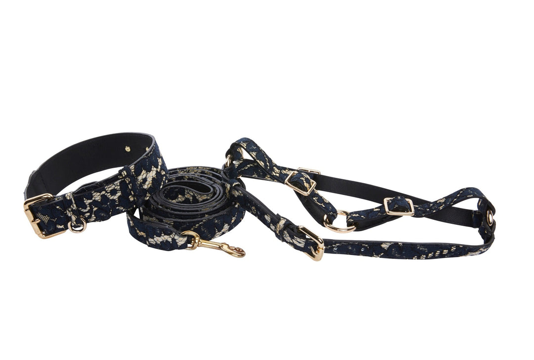 Dark Navy Lace On Gold Italian Leather Classic Collar, Leash &amp; Harness Set