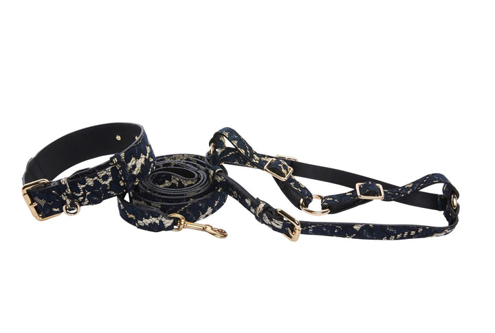 Dark Navy Lace On Gold Italian Leather Classic Collar, Leash &amp; Harness Set