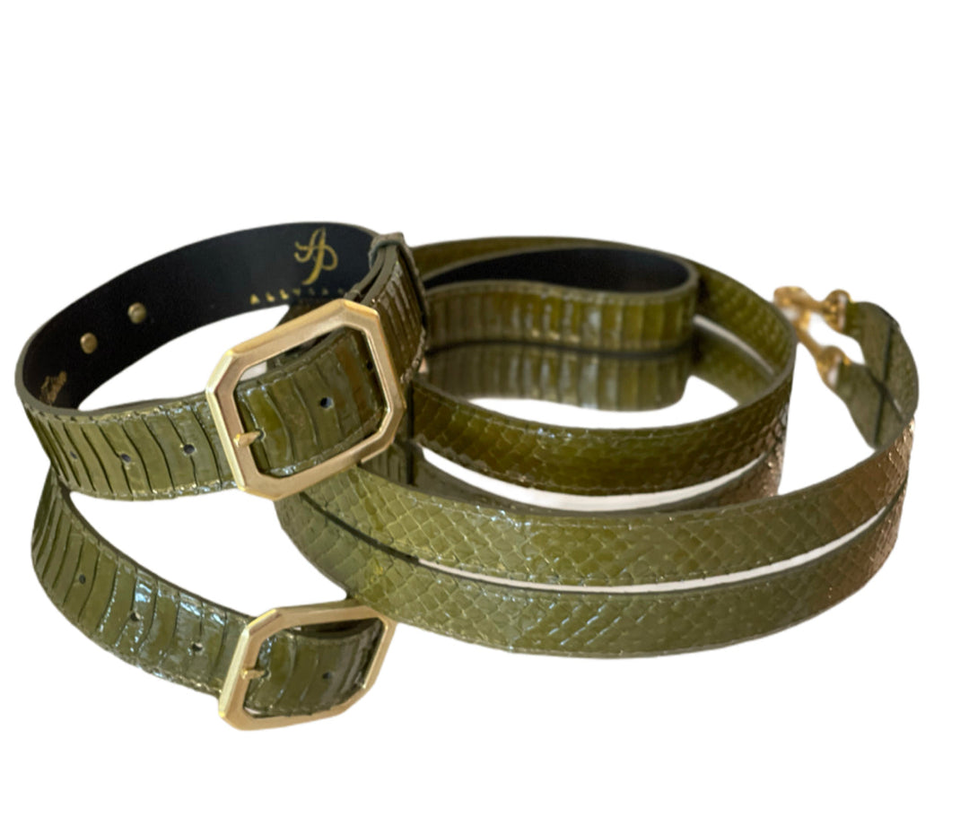 Luxury Pet Fashion Olive Snakeskin Collar &amp; Leash Set