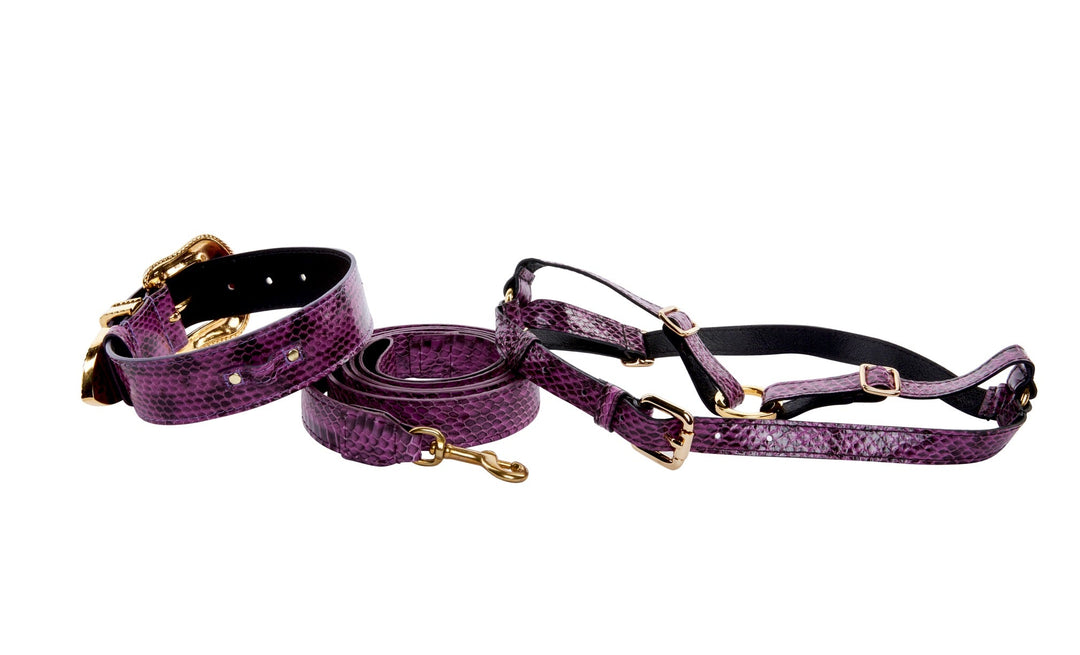 Luxury Pet Fashion Purple &amp; Black Viper Snake Collar With Swarovski Crystal Hardware
