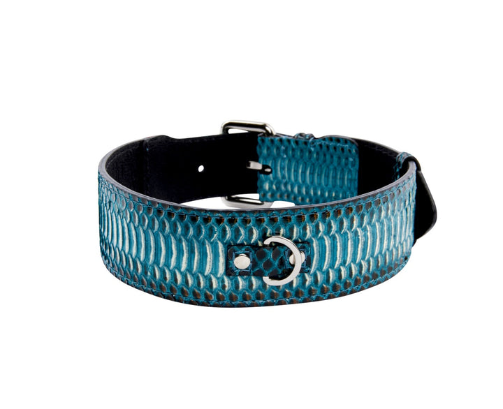 Turquoise, Black Snake Classic Collar With Silver &amp; Gold Classic Hardware Set Of 2