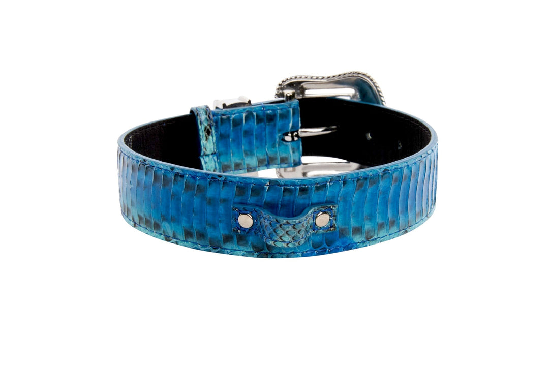 Blue &amp; Turquoise Snake Collar With Silver Swarovski Crystal Hardware