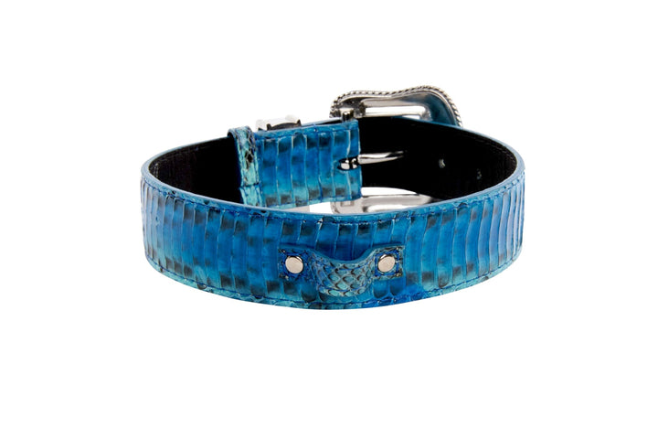 Blue &amp; Turquoise Snake Collar With Silver Swarovski Crystal Hardware