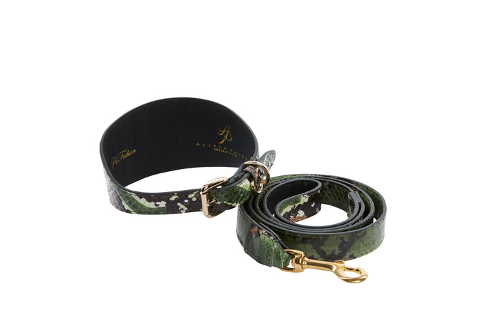 Multi Color Green Snake 3” Wide Style Collar &amp; Leash Set