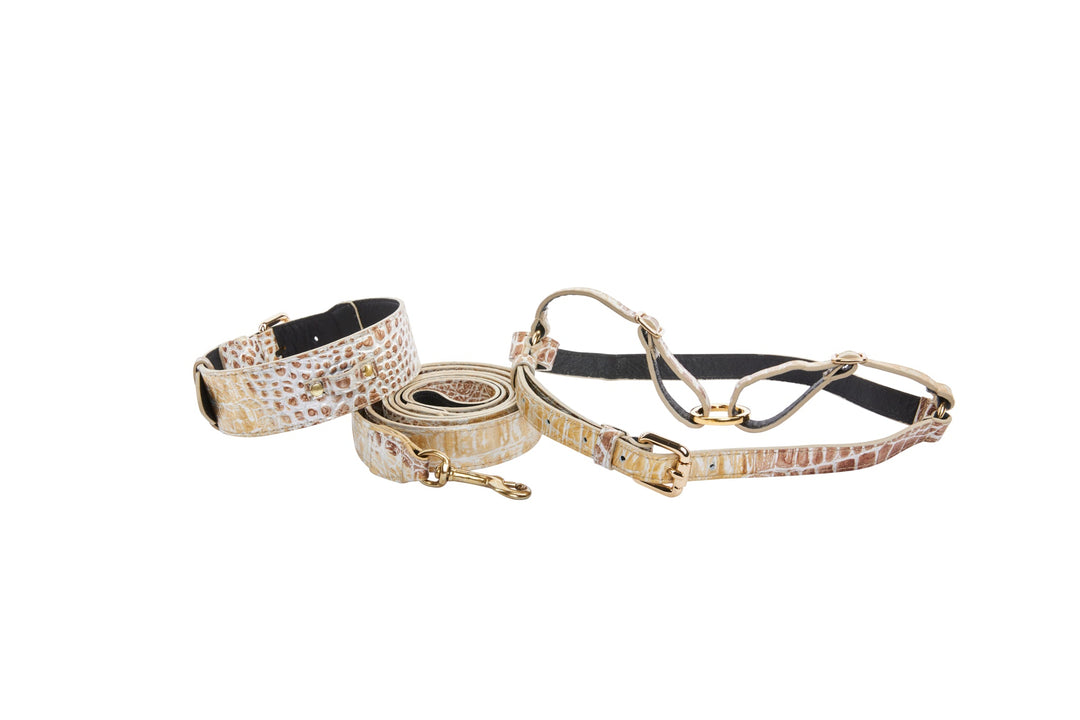 Silver/Bronze/Gold Italian Leather Embossed Croc Classic Collar, Leash &amp; Harness Set