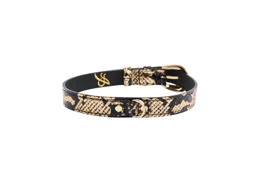 Gold &amp; Black Snake Collar With Oval Gold Hardware