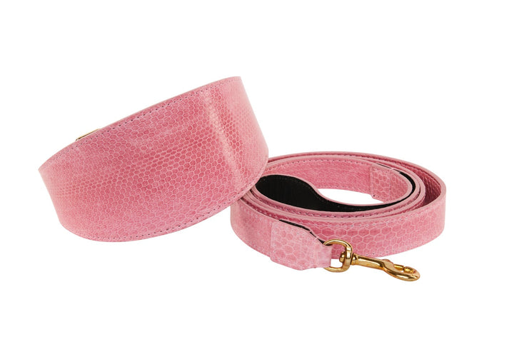 Soft Pink Snake 3” Wide Style Collar &amp; Leash Set
