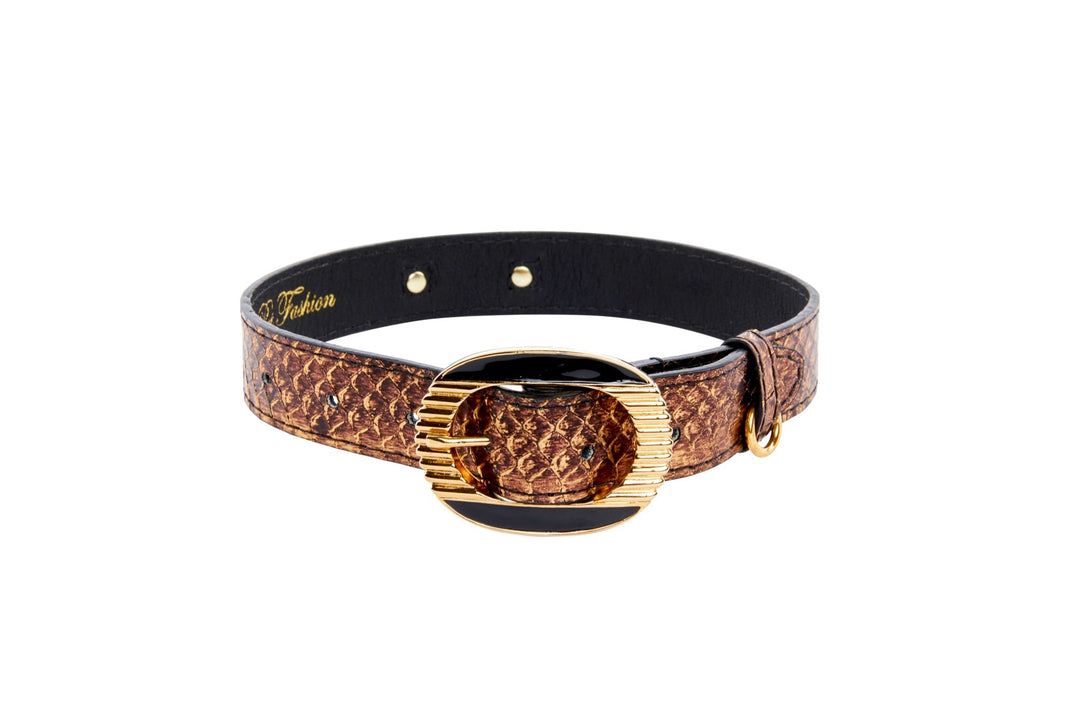 Bronze Gold Snake With Vintage Black &amp; Gold Custom Italian Hardware Collar
