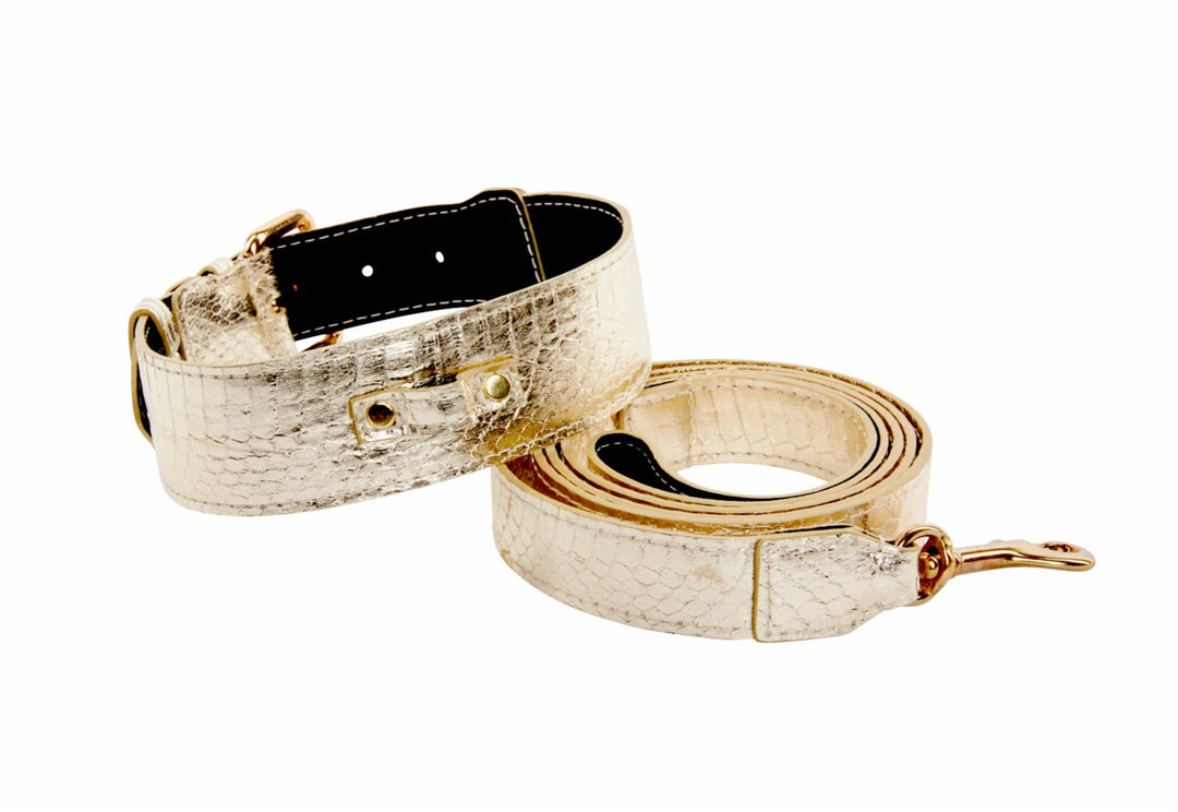 Gold Snake Collar &amp; Leash Set With Classic Hardware