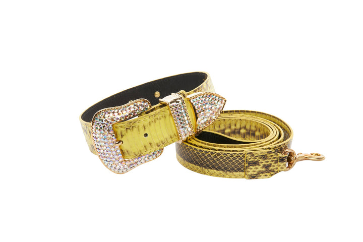 Luxury Pet Fashion Soft Yellow &amp; Black Snakeskin Collar &amp; Leash Set With Our Swarovski Crystal Hardware.