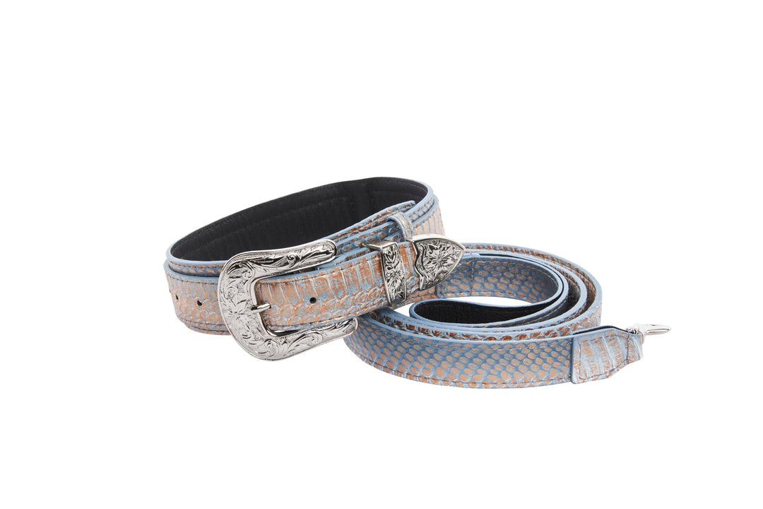 Luxury Pet Fashion Baby Blue/Blue/Bronze Snake Collar &amp; Leash Set, Finished with   Silver Floral Western Hardware