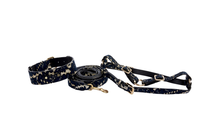 Dark Navy Lace On Gold Italian Leather Classic Collar, Leash &amp; Harness Set
