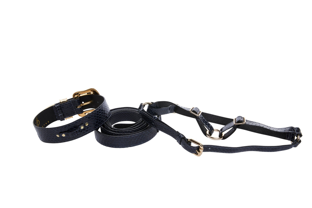Navy Blue Snake Swarovski Crystal Hardware Collar, Leash, &amp; Harness Set