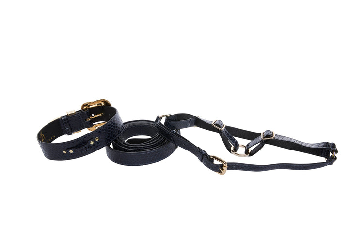 Navy Blue Snake Swarovski Crystal Hardware Collar, Leash, &amp; Harness Set