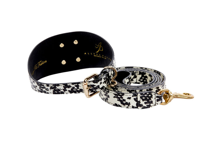 Black &amp; White Snake 3” Wide Style Collar &amp; Leash Set  With Large Gold Custom Rivet