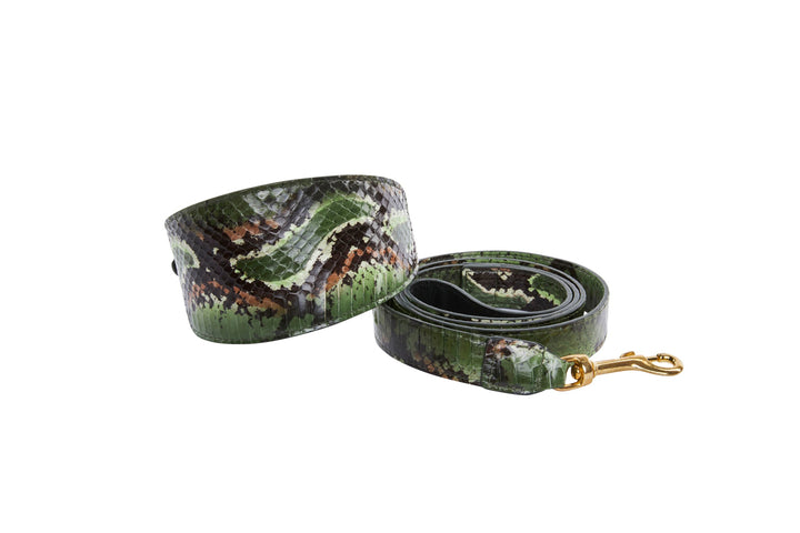 Multi Color Green Snake 3” Wide Style Collar &amp; Leash Set