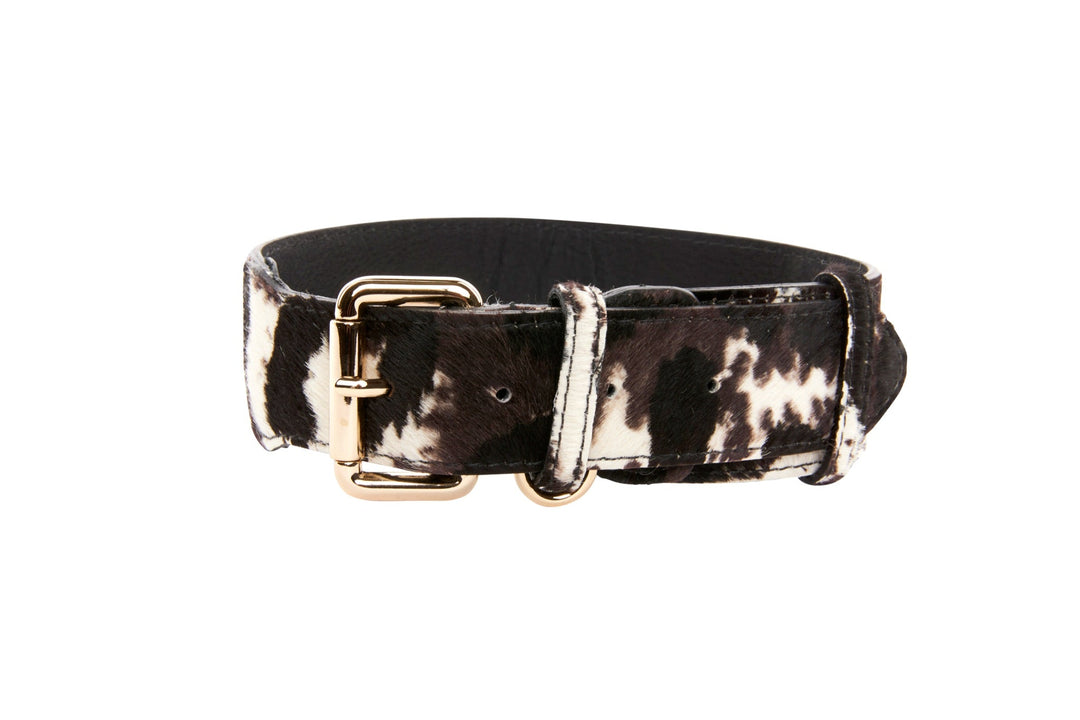 Brown, Black &amp; White Hair On Hide Collar With Classic Gold Hardware