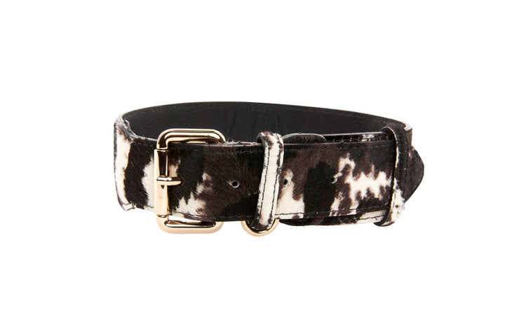 Brown, Black &amp; White Hair On Hide Collar With Classic Gold Hardware