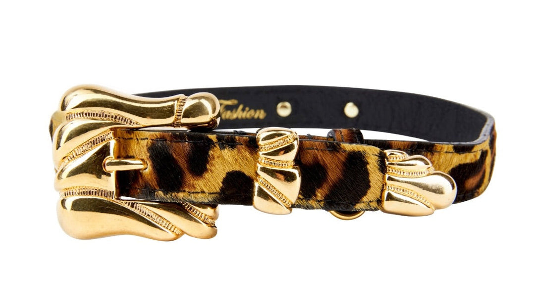 Leopard Print Hair On Hide Italian Leather Collar With Ornate Italian Hardware