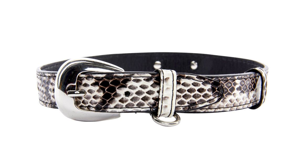 Black &amp; White Viper Snake Collar With Silver Oval Italian Hardware