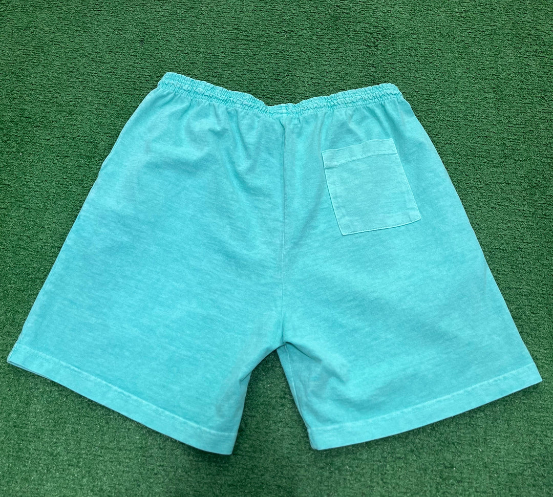 Psychworld Teal Canvas Shorts Pink Logo