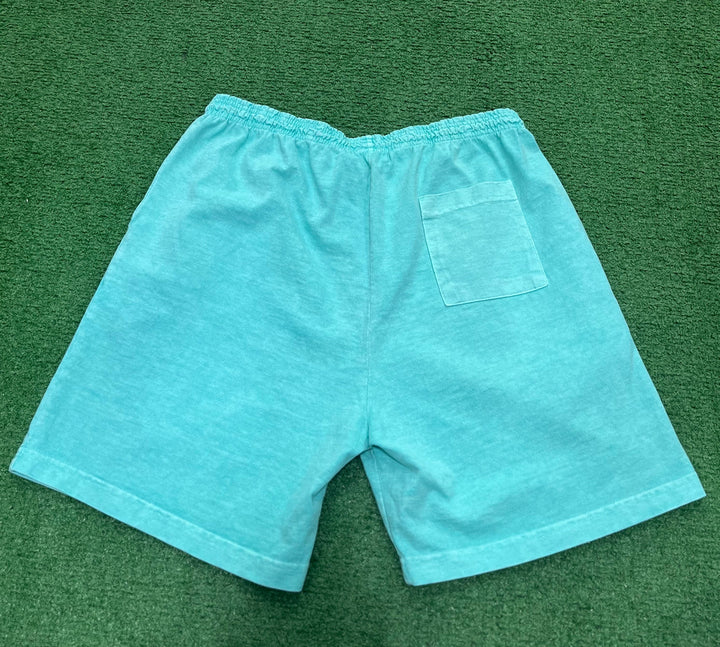 Psychworld Teal Canvas Shorts Pink Logo