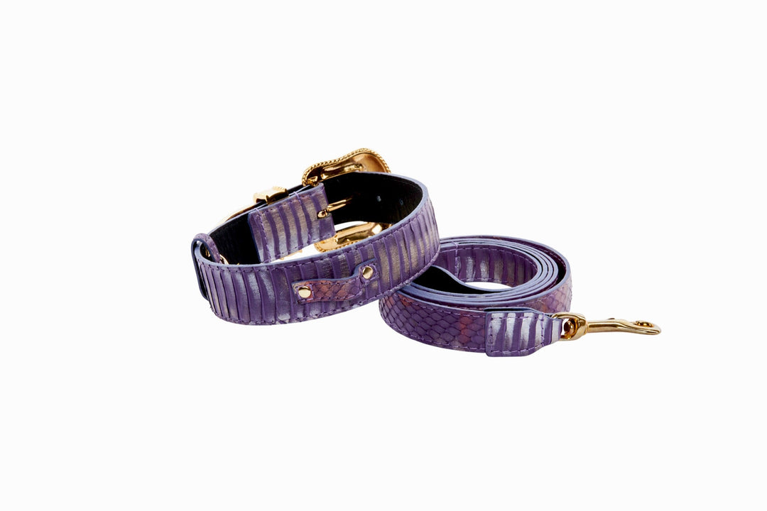Luxury Pet Fashion Purple/Silver Multi-Tone Snakeskin Collar &amp; Leash Set  With Our Swarovski Crystal Hardware