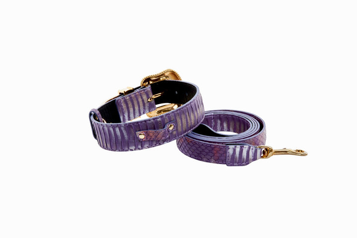 Luxury Pet Fashion Purple/Silver Multi-Tone Snakeskin Collar &amp; Leash Set  With Our Swarovski Crystal Hardware