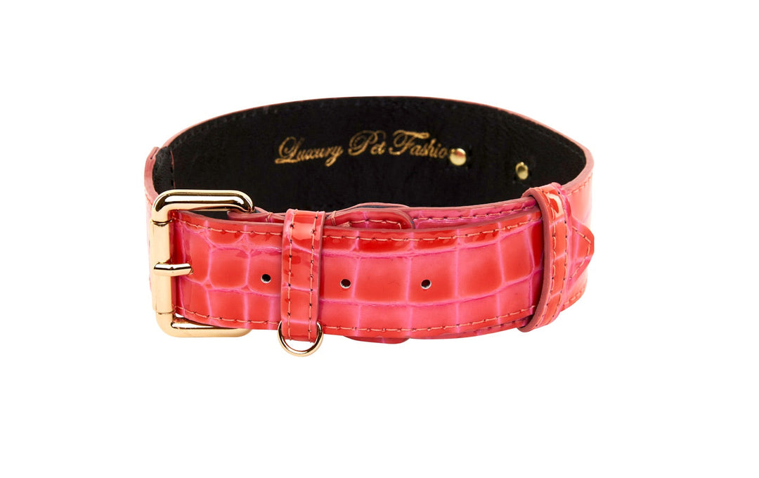 Orange &amp; Pink Patent Leather Classic Collar