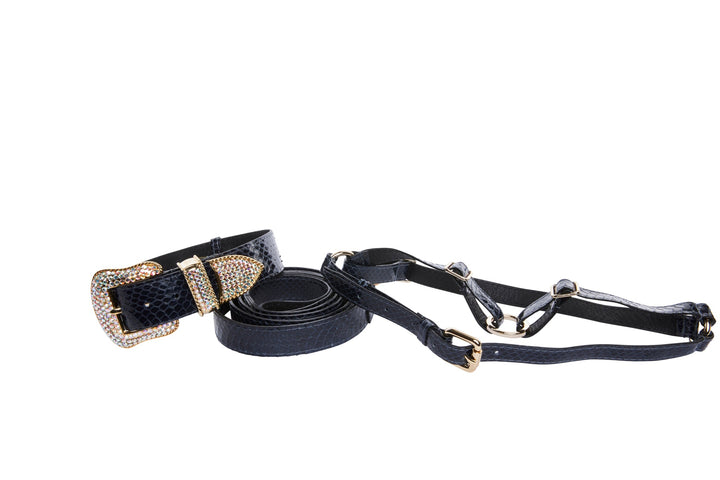 Navy Blue Snake Swarovski Crystal Hardware Collar, Leash, &amp; Harness Set
