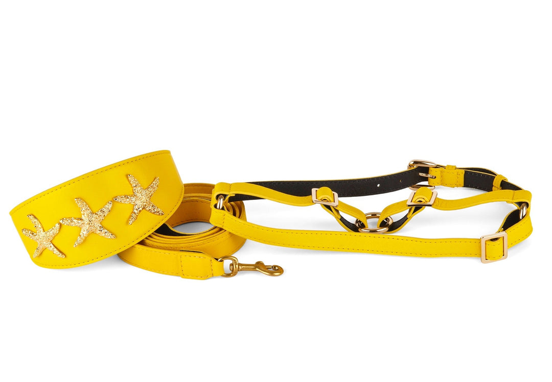 Smooth Yellow Italian Leather 3” Wide Style Collar Set  With Custom Gold Starfish