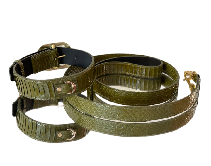 Luxury Pet Fashion Olive Snakeskin Collar &amp; Leash Set
