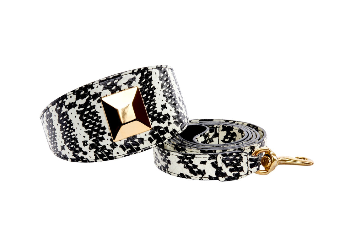 Black &amp; White Snake 3” Wide Style Collar &amp; Leash Set  With Large Gold Custom Rivet