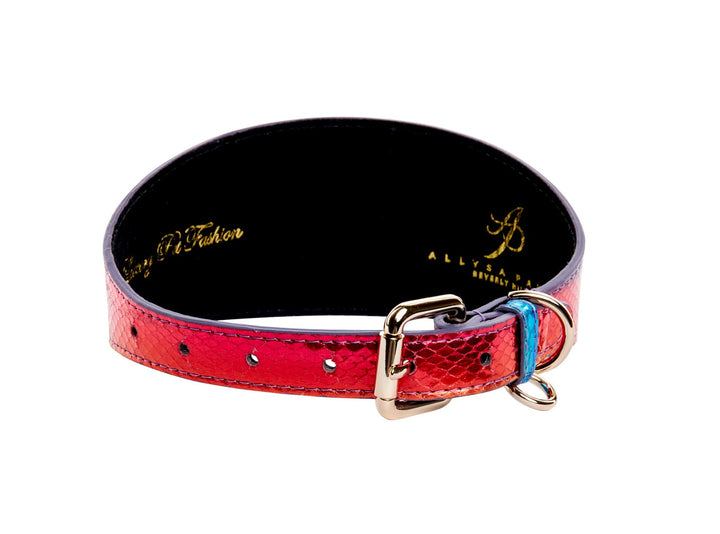 Pride Collection. Rainbow Snake 3” Wide Style Collar