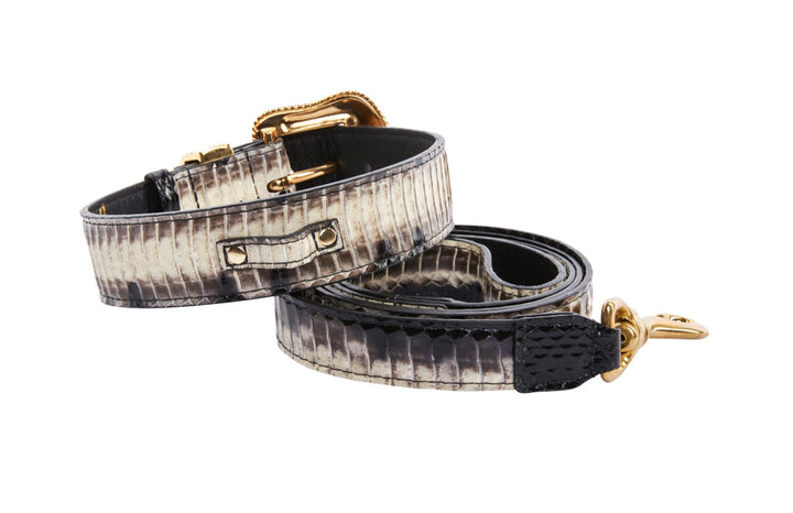 Off White/Black Snake With Gold Swarovski Crystal Hardware Collar &amp; Leash Set